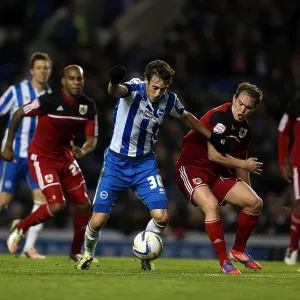 Brighton & Hove Albion vs. Bristol City: Home Battle - 27-11-2012 (Season 2012-13) Brighton & Hove Albion vs. Bristol City: Home Battle - 27-11-2012 (Season 2012-13)