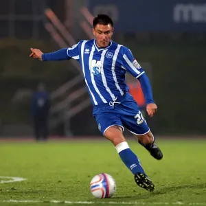 Brighton & Hove Albion vs. Bristol Rovers: 2010-11 Home Season Brighton & Hove Albion vs. Bristol Rovers: 2010-11 Home Season