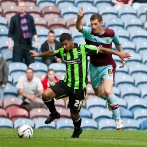 Brighton & Hove Albion vs. Burnley: 2012-13 Season Away Game Highlights - Burnley (01-09-2012) Brighton & Hove Albion vs. Burnley: 2012-13 Season Away Game Highlights - Burnley (01-09-2012)