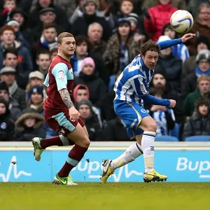 Brighton & Hove Albion vs. Burnley (23-02-2013) - A Look Back at the 2012-13 Home Season Brighton & Hove Albion vs. Burnley (23-02-2013) - A Look Back at the 2012-13 Home Season