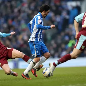 Brighton & Hove Albion vs. Burnley (23-02-2013): A Nostalgic Look Back at the 2012-13 Home Season - Burnley Game Brighton & Hove Albion vs. Burnley (23-02-2013): A Nostalgic Look Back at the 2012-13 Home Season - Burnley Game