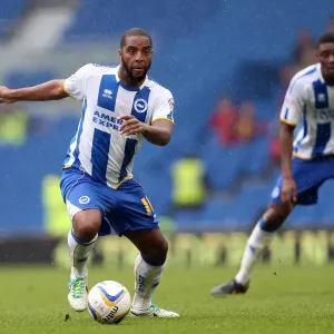 Brighton & Hove Albion vs. Burnley: Home Game - August 24, 2013 Brighton & Hove Albion vs. Burnley: Home Game - August 24, 2013