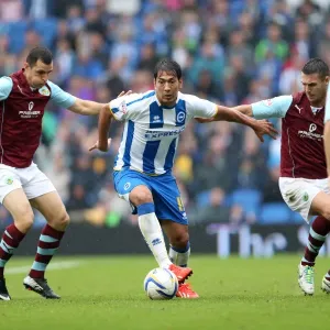 Brighton & Hove Albion vs. Burnley: Home Game - August 24, 2013 Brighton & Hove Albion vs. Burnley: Home Game - August 24, 2013