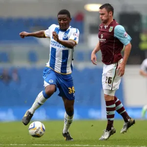 Brighton & Hove Albion vs. Burnley: Home Game - August 24, 2013 Brighton & Hove Albion vs. Burnley: Home Game - August 24, 2013