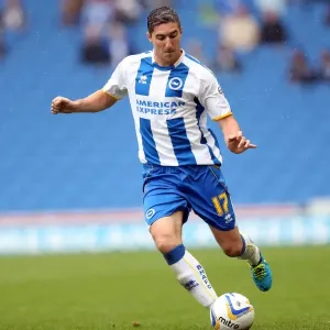 Brighton & Hove Albion vs. Burnley: Home Game - August 24, 2013 Brighton & Hove Albion vs. Burnley: Home Game - August 24, 2013