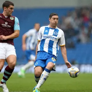 Brighton & Hove Albion vs. Burnley: Home Game - August 24, 2013 Brighton & Hove Albion vs. Burnley: Home Game - August 24, 2013