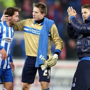 Brighton & Hove Albion vs. Cardiff City: 2013 Away Clash from the 2012-13 Season Brighton & Hove Albion vs. Cardiff City: 2013 Away Clash from the 2012-13 Season