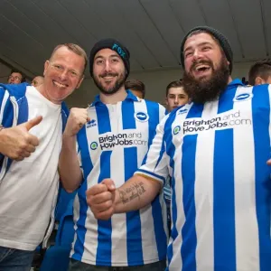 Brighton & Hove Albion vs. Cardiff City: 30 September 2014 (Cardiff City 30SEP14) Brighton & Hove Albion vs. Cardiff City: 30 September 2014 (Cardiff City 30SEP14)