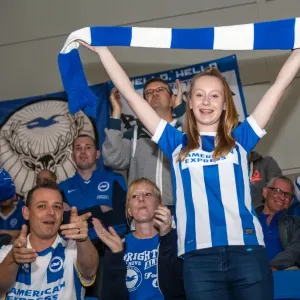 Brighton & Hove Albion vs. Cardiff City: 30SEP14 (Home Game) Brighton & Hove Albion vs. Cardiff City: 30SEP14 (Home Game)
