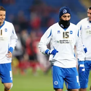Brighton & Hove Albion vs. Cardiff City (Away): 2012-13 Season Highlight - February 19, 2013 Brighton & Hove Albion vs. Cardiff City (Away): 2012-13 Season Highlight - February 19, 2013