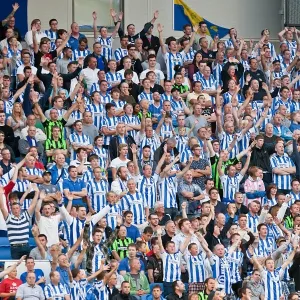 Brighton & Hove Albion vs. Cardiff City: A Home Battle (2012-13 Season) Brighton & Hove Albion vs. Cardiff City: A Home Battle (2012-13 Season)