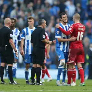 Brighton and Hove Albion vs. Cardiff City: Sky Bet Championship Clash, October 2015 Brighton and Hove Albion vs. Cardiff City: Sky Bet Championship Clash, October 2015