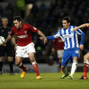Brighton & Hove Albion vs Charlton Athletic (02-04-2013) - A Peek into the 2012-13 Home Season