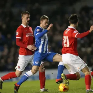 Brighton and Hove Albion vs Charlton Athletic: Sky Bet Championship Showdown at American Express Community Stadium (05DEC15) Brighton and Hove Albion vs Charlton Athletic: Sky Bet Championship Showdown at American Express Community Stadium (05DEC15)