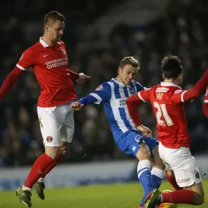 Brighton and Hove Albion vs Charlton Athletic: Sky Bet Championship Showdown at American Express Community Stadium (05DEC15) Brighton and Hove Albion vs Charlton Athletic: Sky Bet Championship Showdown at American Express Community Stadium (05DEC15)