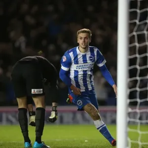 Brighton and Hove Albion vs Charlton Athletic: Sky Bet Championship Showdown at American Express Community Stadium (05DEC15) Brighton and Hove Albion vs Charlton Athletic: Sky Bet Championship Showdown at American Express Community Stadium (05DEC15)
