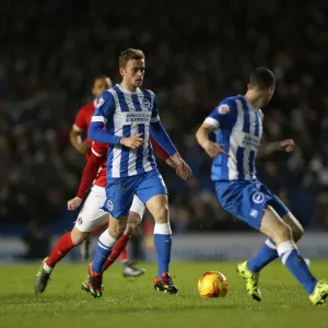 Brighton and Hove Albion vs Charlton Athletic: Sky Bet Championship Showdown at American Express Community Stadium (05DEC15) Brighton and Hove Albion vs Charlton Athletic: Sky Bet Championship Showdown at American Express Community Stadium (05DEC15)