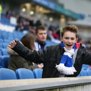 Brighton and Hove Albion vs Charlton Athletic: Sky Bet Championship Showdown at American Express Community Stadium (5th December 2015) Brighton and Hove Albion vs Charlton Athletic: Sky Bet Championship Showdown at American Express Community Stadium (5th December 2015)