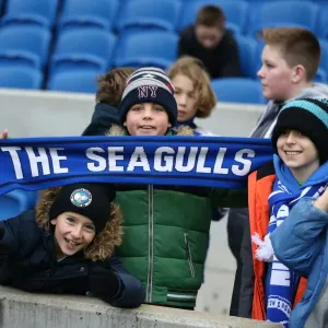 Brighton and Hove Albion vs Charlton Athletic: Sky Bet Championship Showdown at American Express Community Stadium (05DEC15) Brighton and Hove Albion vs Charlton Athletic: Sky Bet Championship Showdown at American Express Community Stadium (05DEC15)