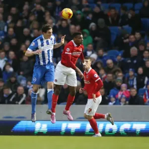 Brighton and Hove Albion vs Charlton Athletic: Sky Bet Championship Showdown at American Express Community Stadium (05DEC15) Brighton and Hove Albion vs Charlton Athletic: Sky Bet Championship Showdown at American Express Community Stadium (05DEC15)