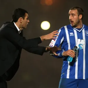 Brighton & Hove Albion vs Charlton Athletic: 2010-11 Home Game