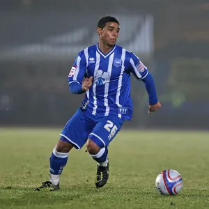 Brighton & Hove Albion vs Charlton Athletic: 2010-11 Home Season