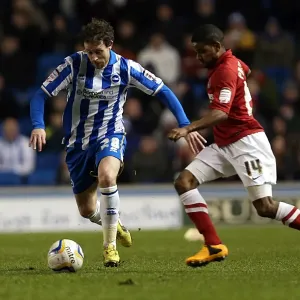 Brighton & Hove Albion vs Charlton Athletic: 2012-13 Home Game