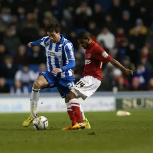 Brighton & Hove Albion vs Charlton Athletic (2012-13): Home Game Highlights - 02-04-2013
