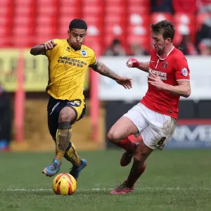 Brighton & Hove Albion vs Charlton Athletic: 2013-14 Away Game