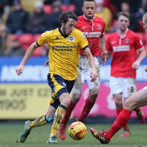 Brighton & Hove Albion vs Charlton Athletic: 2013-14 Away Game