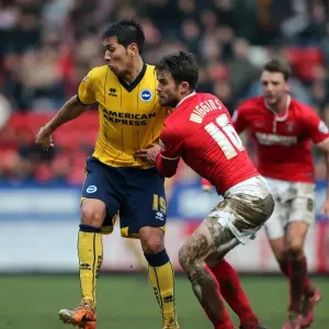 Brighton & Hove Albion vs Charlton Athletic: 2013-14 Away Game (December 26)