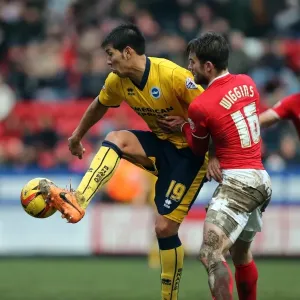 Brighton & Hove Albion vs Charlton Athletic (Away): 26-12-2013 - Season 2013-14