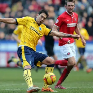 Brighton & Hove Albion vs Charlton Athletic (Away): 26-12-2013 - Season 2013-14: Away Game