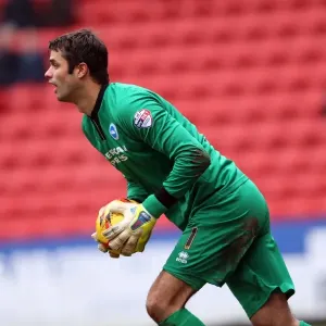 Brighton & Hove Albion vs Charlton Athletic: Away Game - 26-12-2013, Season 2013-14