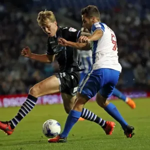 Brighton and Hove Albion vs Colchester United: EFL Cup Clash at American Express Community Stadium (09.08.16) Brighton and Hove Albion vs Colchester United: EFL Cup Clash at American Express Community Stadium (09.08.16)