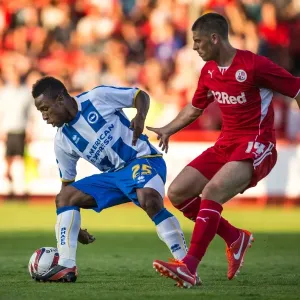 Brighton & Hove Albion vs Crawley Town: 2013-14 Pre-Season Clash Brighton & Hove Albion vs Crawley Town: 2013-14 Pre-Season Clash