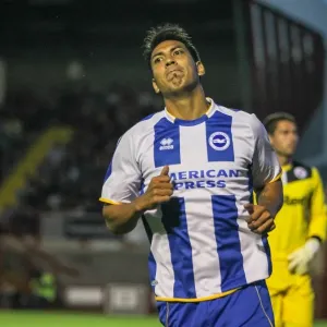 Brighton & Hove Albion vs Crawley Town: 2013-14 Pre-Season Clash Brighton & Hove Albion vs Crawley Town: 2013-14 Pre-Season Clash
