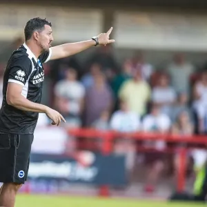 Brighton & Hove Albion vs Crawley Town: 2013-14 Pre-Season Clash Brighton & Hove Albion vs Crawley Town: 2013-14 Pre-Season Clash