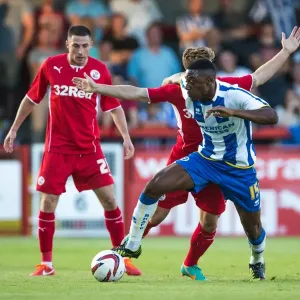 Brighton & Hove Albion vs Crawley Town: 2013-14 Pre-Season Clash Brighton & Hove Albion vs Crawley Town: 2013-14 Pre-Season Clash