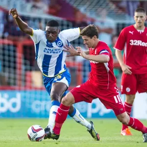 Brighton & Hove Albion vs Crawley Town: 2013-14 Pre-Season Clash Brighton & Hove Albion vs Crawley Town: 2013-14 Pre-Season Clash