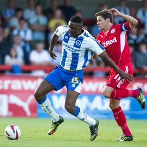 Brighton & Hove Albion vs Crawley Town: 2013-14 Pre-Season Clash Brighton & Hove Albion vs Crawley Town: 2013-14 Pre-Season Clash