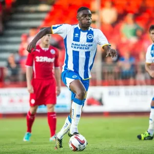 Brighton & Hove Albion vs Crawley Town: 2013-14 Pre-Season Clash Brighton & Hove Albion vs Crawley Town: 2013-14 Pre-Season Clash