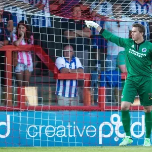 Brighton & Hove Albion vs Crawley Town: Pre-Season Clash (2013-14) Brighton & Hove Albion vs Crawley Town: Pre-Season Clash (2013-14)
