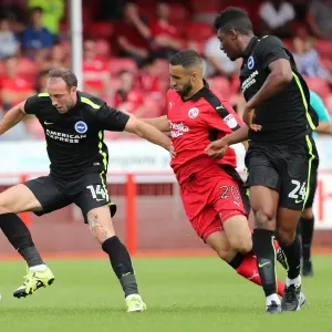 Brighton and Hove Albion vs Crawley Town: Pre-Season Clash at Checkatrade Stadium (16th July 2016) Brighton and Hove Albion vs Crawley Town: Pre-Season Clash at Checkatrade Stadium (16th July 2016)