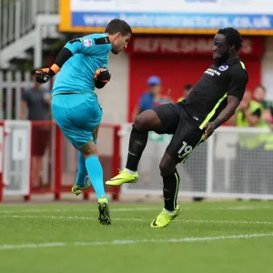 Brighton and Hove Albion vs. Crawley Town: Pre-Season Friendly at Checkatrade Stadium (16th July 2016) Brighton and Hove Albion vs. Crawley Town: Pre-Season Friendly at Checkatrade Stadium (16th July 2016)
