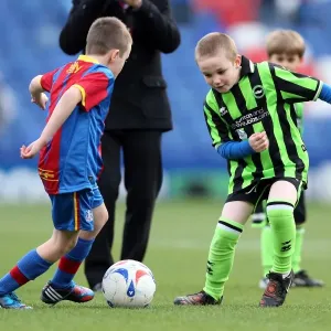 Brighton & Hove Albion vs. Crystal Palace: 2012-13 Away Game