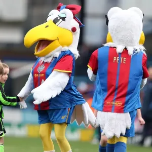 Brighton & Hove Albion vs. Crystal Palace: 2012-13 Away Game