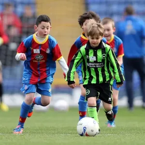 Brighton & Hove Albion vs. Crystal Palace: 2012-13 Away Game