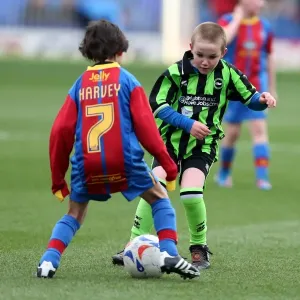 Brighton & Hove Albion vs. Crystal Palace: 2012-13 Away Game Highlights (1st December 2012)