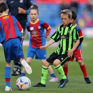 Brighton & Hove Albion vs. Crystal Palace: 2013 Play-Off First Leg